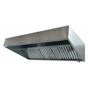 hotte professionnelle en inox statique avec casquette pour restaurant et cuisine pro
