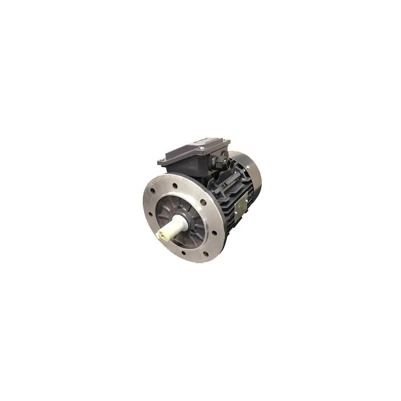 Moteur de rechange pour tourelle d'extraction / ventilation 750w- 400v pour hotte de restaurant