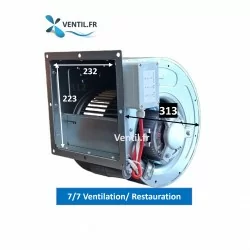 Moteur escargot DD 7/7 1500m3/h- ventilateur aspirant pas cher pour hotte pro