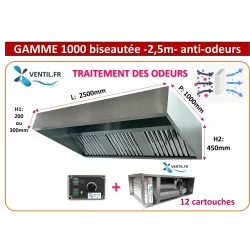 hotte pro à charbon 2.5m avec caisson 12 cartouches motorisé déporté 230v pour la restauration