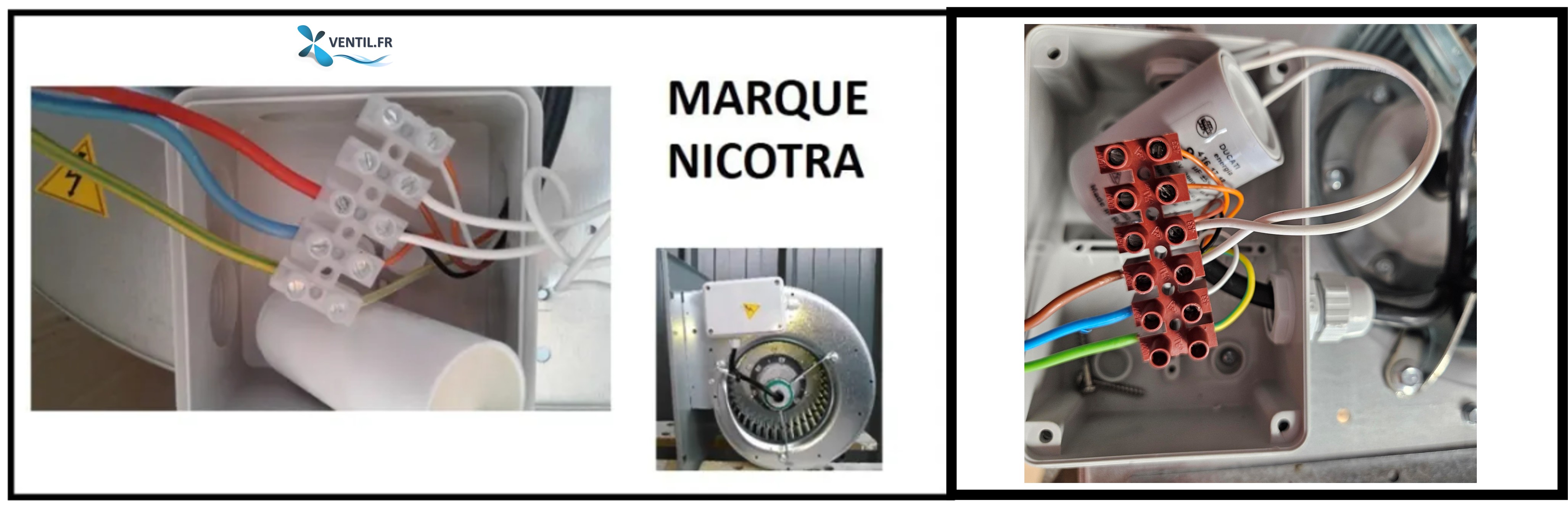 Comment raccorder un moteur DDM Nicotra - schéma électrique